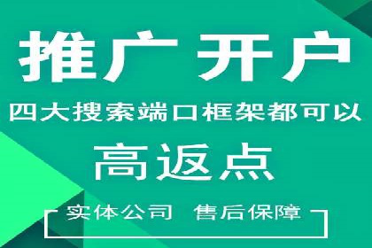 SEM竞价代运营公司经典案例解析